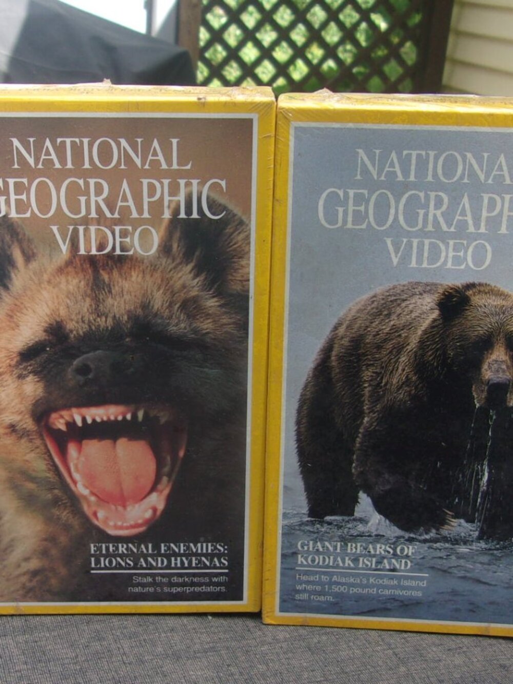 National Geographic VHS Videotapes NEW/SEALED BEARS / LIONS VS HYENAS
